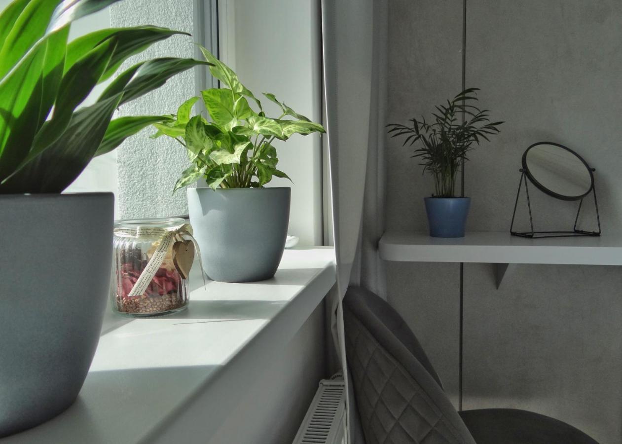 Top Urban Apartment - Free Parking, Green Energy, Modern Style براتسيلافا المظهر الخارجي الصورة